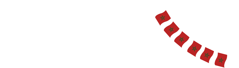 Ontwerp zonder titel - 2025-03-09T165107.873